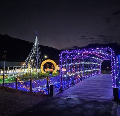 青年部2025イルミネーション事業　～今シーズンも煌びやかに開催中！～